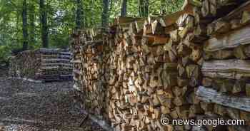 Burgsalach | Mehrere Tierkadaver abgelegt - Radio 8 Ansbach