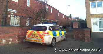 'There's gangs that think they own the place': Elswick residents speak of fears after man slashed