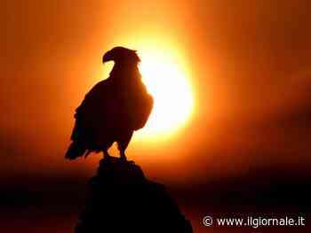 Finanza sostenibile e biodiversità, il nesso inscindibile