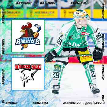 Iserlohn und Köln am Wochenende - Steelers Bietigheim - Bietigheim Steelers