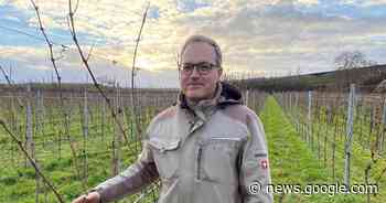 Jan Eymael: „Ohne Weine bräuchte man keinen Wurstmarkt“ - Bad ... - Rheinpfalz.de