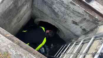 Woman Rescued for Third Time After Falling Into Delray Beach Drainage Pipe