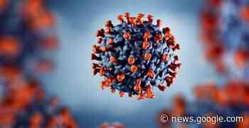 Covid, variante Kraken sequenziata in Veneto nelle province di ... - TG Padova