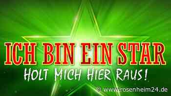 „Dschungelcamp“-Fans stimmen über ekligsten Dschungelsnack ab