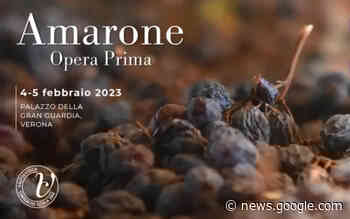 Torna Amarone Opera Prima, a Verona il 4 e 5 Febbraio VIDEO - TG Verona