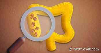 Looking to Heal Your Gut? Make These Simple Steps First     - CNET