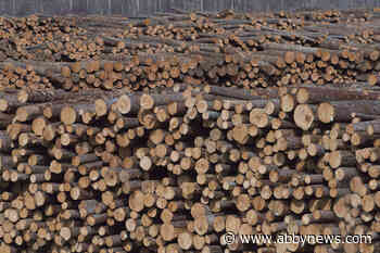 B.C. forest industry looks to get out of the woods amid meetings with government leaders