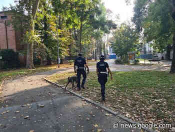 Non si ferma lo spaccio in Gad | estense.com Ferrara - Estense.com