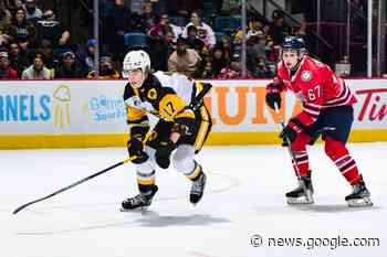 Battle of the Wrays as Hamilton Bulldogs come to town - BayToday.ca