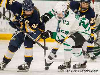 Play for a Cure night: U of S Huskies honour goalie's late aunt
