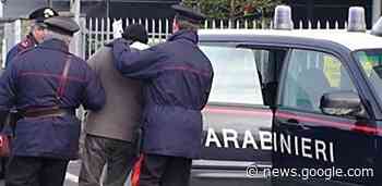 Arrestato un ladro - Crema News