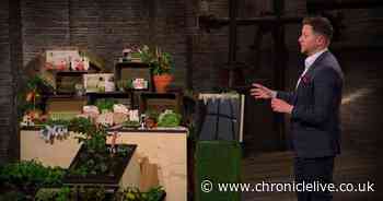 Tyneside firm Grow Sow Simple's Dragons' Den success as Sara Davies seals deal