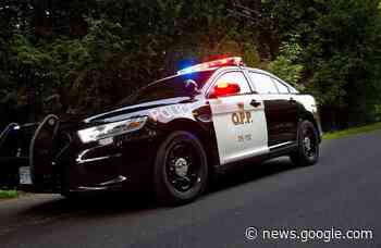 Police invesigating Mount Forest break-in - EloraFergusToday