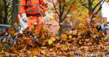 KBK denkt in Krefeld neu über das Laubsammeln nach - Westdeutsche Zeitung