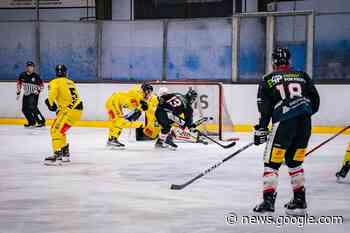 Richtungsweisende Partien für die Rockets gegen Essen und Krefeld - WW-Kurier - Internetzeitung für den Westerwaldkreis