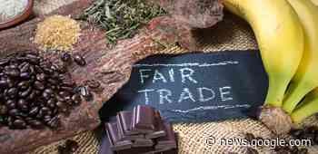 Servizio Civile a Cremona con Nonsolonoi - Popolis