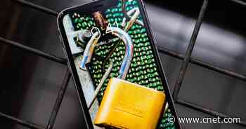 Norton LifeLock Accounts Targeted: What to Know and How to Protect Your Passwords     - CNET