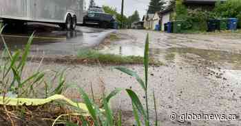 ‘Many things’ led to slow EMS response of fatal dog attack: HQCA