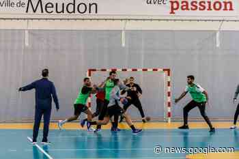 Meudon accueille l'équipe masculine égyptienne de handball - Ville de Meudon