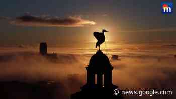 L’alba sopra le nuvole: le immagini spettacolari. VIDEO - METEO.IT