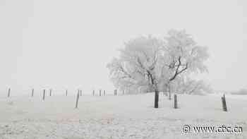 Fog, rime ice dominate stagnant Prairie weather pattern