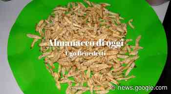 Curiosità e notizie di oggi giovedì 19 gennaio 2023 a Bergamo - Socialbg