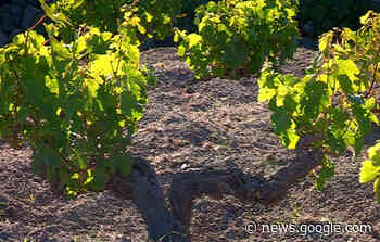 Pantelleria - Escursioni, dalla contrada del mattino Montagne ... - Il Giornale Di Pantelleria