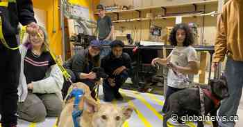 High school students’ creative project helps Calgary animal rescue