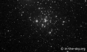 20 Jan 2023 (Today): The cluster NGC 2516 is well placed