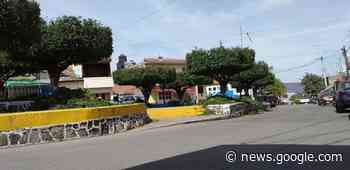 Realizan en Zamora la poda de árboles y arbustos en La Rinconada - Quadratín