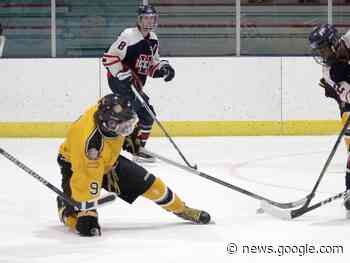 Icemen on losing streak - Wetaskiwin Times Advertiser