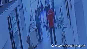 Jury Awards Damages to Girl Bit by Dog at Broward Animal Shelter