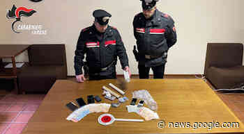 Luino, arrestati tre magrebini per spaccio nei boschi a Sangiano - varesepress.info