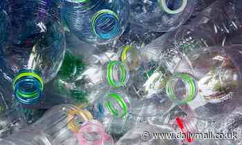 Deposit scheme for plastic bottles will be unveiled at last... but it WON'T include glass 
