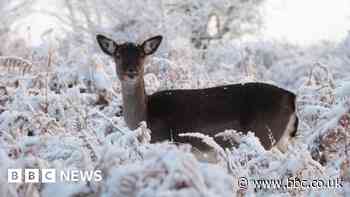 BBC Weather Watchers capture snow in the West Midlands