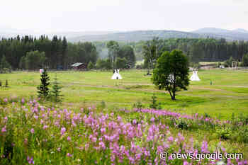 B.C. government, Blueberry River First Nations reach land ... - Omineca Express