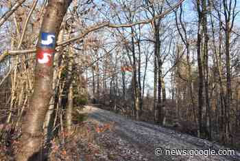 Windeck: Politik stimmt Gründung eines privaten Bestattungswaldes ... - Kölnische Rundschau