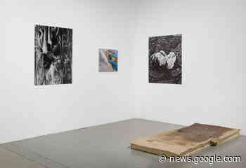 Graduate student Saskia Baden’s photo collections explore duality ... - Daily Bruin