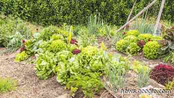 Permakultur im Dachauer Land - Kurier Dachau