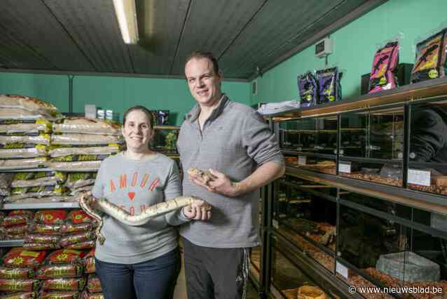 Reptielen houden is duur en vraagt veel aandacht: “Bezint eer ge begint”