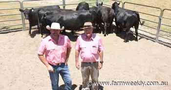 High interest in PTIC females