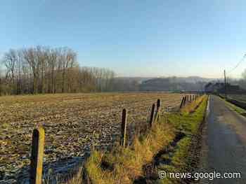 Wandelen in het Geutelingendorp Elst (Brakel) op 28 januari - NUUS