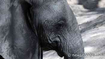 Rift Valley – Der große Graben... | Do, 03.26 im TV | TV TODAY - TV Today