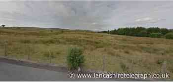 Burnley industrial estate woodland for hawks plea