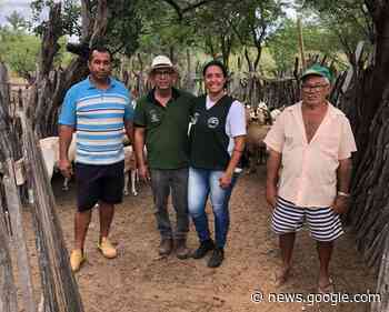 Prefeitura de Juazeiro realiza visitas técnicas a caprinovinocultores ... - Prefeitura de Juazeiro