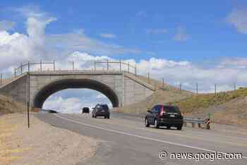 Dismantling the walls to wildlife in Colorado - by Allen Best - The Ark Valley Voice