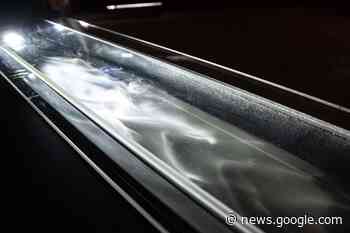 Catch aBIOTIC at New Westminster's New Media Gallery - The Record (New Westminster)