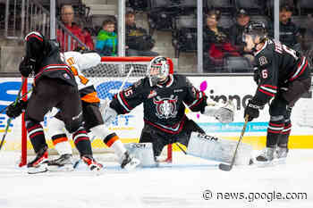 Rebels goaltender Rhett Stoesser continues to defy the odds - Red ... - Red Deer Advocate