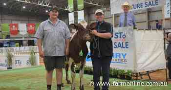 Illawarra heifer sets record $21,000 at IDW all-breeds sale