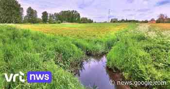 Natuurgebied Babbelbeekse Beemden in Duffel uitgebreid voor ... - VRT.be